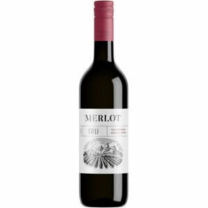 Fles Merlot